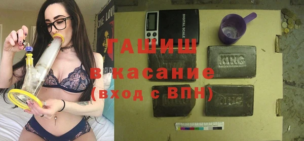 твердый Мегион