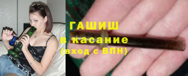 гашик Грязовец