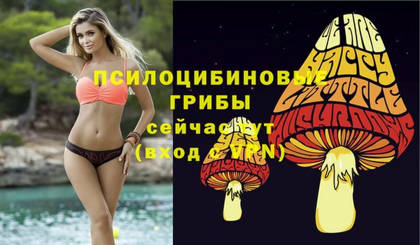 твердый Мегион