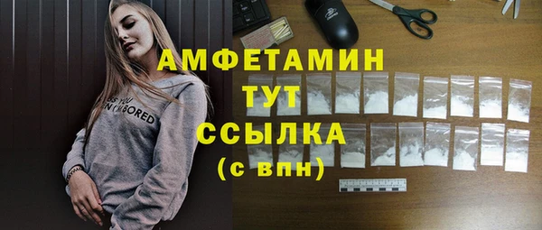 твердый Мегион