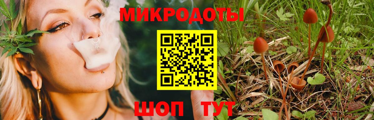 Псилоцибиновые грибы Psilocybine cubensis  Вход с VPN  Карталы 